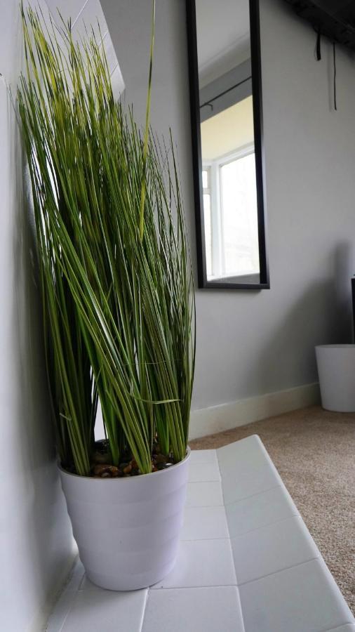 Portobello House - Four Bedroom House Perfect For Contractors - Sleeps 6 - Free Parking ウォルヴァーハンプトン エクステリア 写真